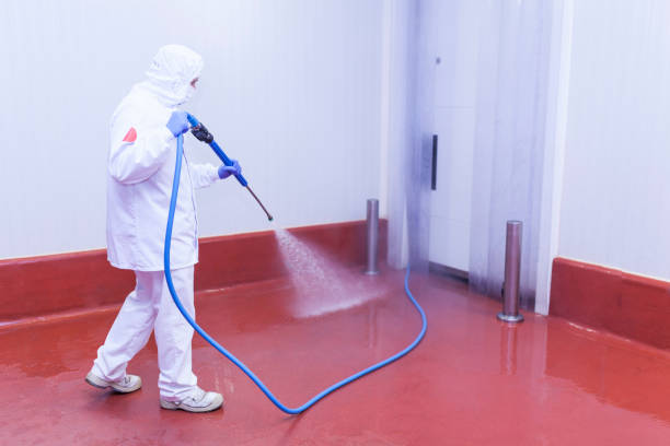 Best Boat and Dock Cleaning  in Burtonsville, MD